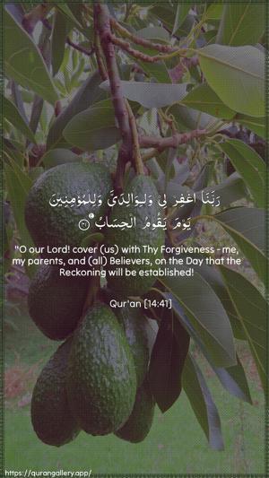 Ibrahim Ayah 41 - Arabic + English wallpaper