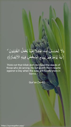 Ibrahim Ayah 42 - Arabic + English wallpaper