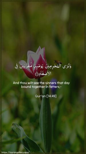 Ibrahim Ayah 49 - Arabic + English wallpaper