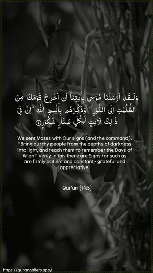 Ibrahim Ayah 5 - Arabic + English wallpaper