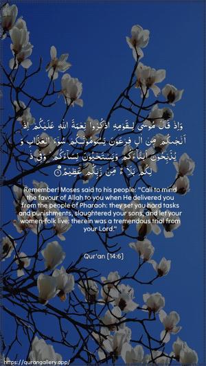 Ibrahim Ayah 6 - Arabic + English wallpaper