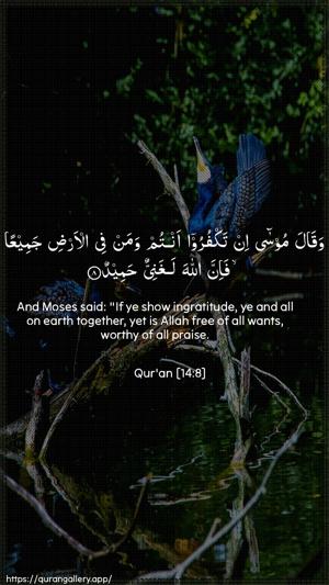 Ibrahim Ayah 8 - Arabic + English wallpaper