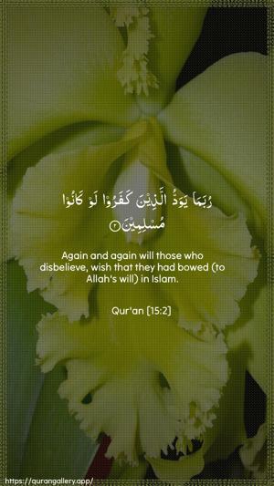 Al-Hijr Ayah 2 - Arabic + English wallpaper