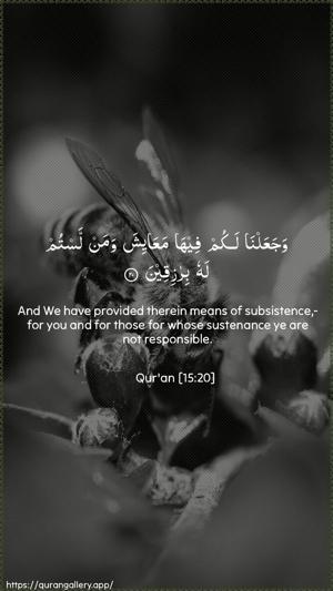 Al-Hijr Ayah 20 - Arabic + English wallpaper