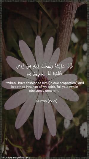 Al-Hijr Ayah 29 - Arabic + English wallpaper