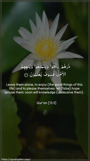 Al-Hijr Ayah 3 - Arabic + English wallpaper