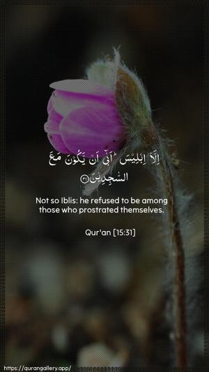 Al-Hijr Ayah 31 - Arabic + English wallpaper