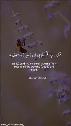 Al-Hijr Ayah 36 - Arabic + English wallpaper