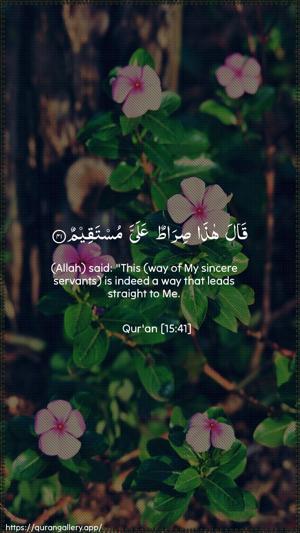 Al-Hijr Ayah 41 - Arabic + English wallpaper