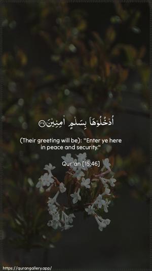 Al-Hijr Ayah 46 - Arabic + English wallpaper