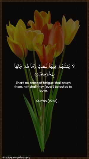 Al-Hijr Ayah 48 - Arabic + English wallpaper