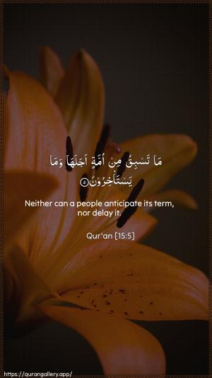 Al-Hijr Ayah 5 - Arabic + English wallpaper