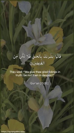 Al-Hijr Ayah 55 - Arabic + English wallpaper