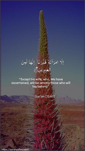 Al-Hijr Ayah 60 - Arabic + English wallpaper