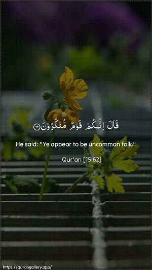 Al-Hijr Ayah 62 - Arabic + English wallpaper