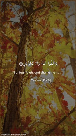 Al-Hijr Ayah 69 - Arabic + English wallpaper