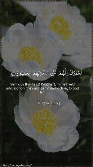 Al-Hijr Ayah 72 - Arabic + English wallpaper