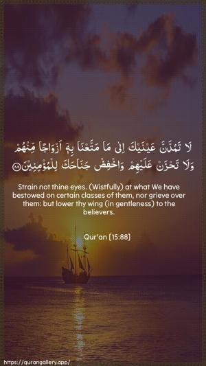 Al-Hijr Ayah 88 - Arabic + English wallpaper