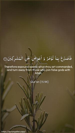 Al-Hijr Ayah 94 - Arabic + English wallpaper