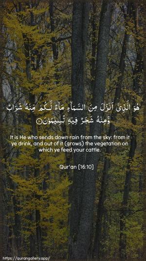 An-Nahl Ayah 10 - Arabic + English wallpaper