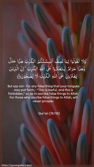 An-Nahl Ayah 116 - Arabic + English wallpaper