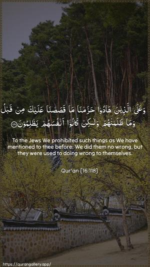 An-Nahl Ayah 118 - Arabic + English wallpaper