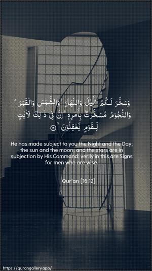 An-Nahl Ayah 12 - Arabic + English wallpaper