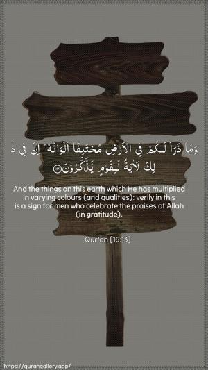 An-Nahl Ayah 13 - Arabic + English wallpaper
