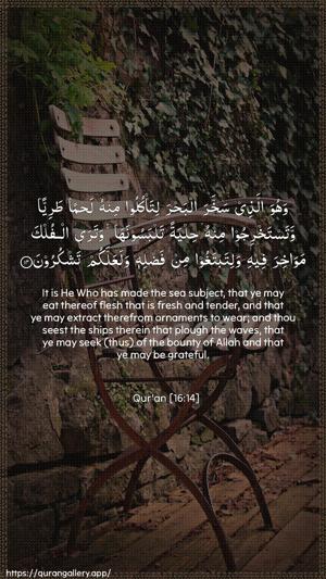 An-Nahl Ayah 14 - Arabic + English wallpaper
