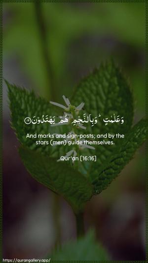 An-Nahl Ayah 16 - Arabic + English wallpaper