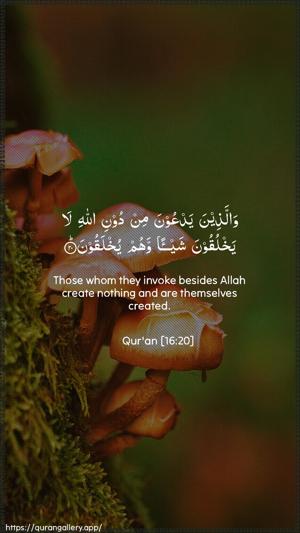An-Nahl Ayah 20 - Arabic + English wallpaper