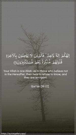 An-Nahl Ayah 22 - Arabic + English wallpaper