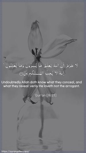 An-Nahl Ayah 23 - Arabic + English wallpaper