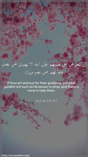 An-Nahl Ayah 37 - Arabic + English wallpaper