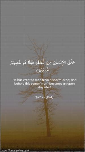 An-Nahl Ayah 4 - Arabic + English wallpaper