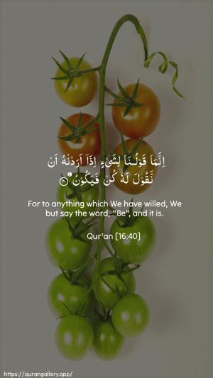An-Nahl Ayah 40 - Arabic + English wallpaper