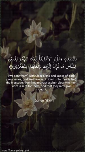 An-Nahl Ayah 44 - Arabic + English wallpaper