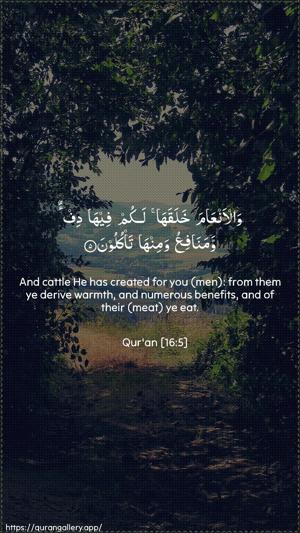 An-Nahl Ayah 5 - Arabic + English wallpaper