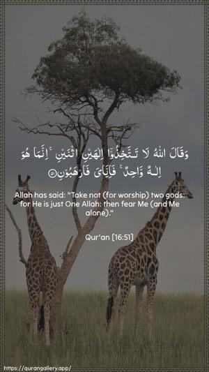 An-Nahl Ayah 51 - Arabic + English wallpaper