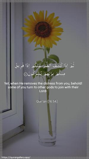 An-Nahl Ayah 54 - Arabic + English wallpaper