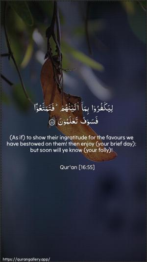 An-Nahl Ayah 55 - Arabic + English wallpaper