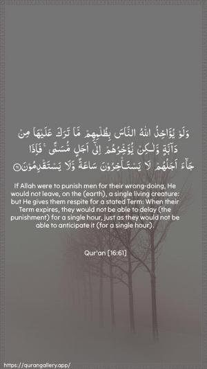 An-Nahl Ayah 61 - Arabic + English wallpaper