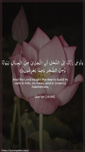 An-Nahl Ayah 68 - Arabic + English wallpaper