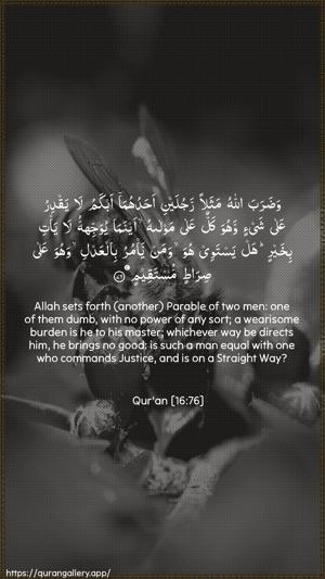 An-Nahl Ayah 76 - Arabic + English wallpaper