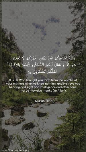 An-Nahl Ayah 78 - Arabic + English wallpaper