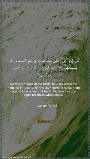 An-Nahl Ayah 79 - Arabic + English wallpaper