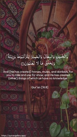 An-Nahl Ayah 8 - Arabic + English wallpaper