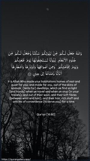An-Nahl Ayah 80 - Arabic + English wallpaper