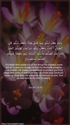 An-Nahl Ayah 81 - Arabic + English wallpaper
