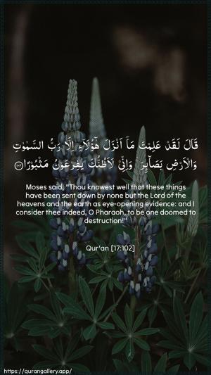 Al-Israa Ayah 102 - Arabic + English wallpaper